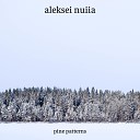 aleksei nuiia - Time Is Running Out