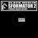Black Merlin - Verticle Shadow