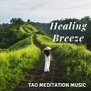 Meditative Mantra Zone - Taoist Well Being