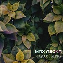 Max Asoka - About the Forest