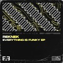 Reknek - Everything Is Funky