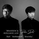 Brandon Luo Benjamin Luo - The Rite of Spring Part 2 XIII Ritual Action of the Ancestors Arr for 4…