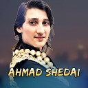 Ahmad Shedai - Mina Kawal Da Har Cha Kar Na Dai Mayana…