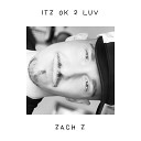 Zach Z - Itz Ok 2 Luv
