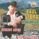 Saul Viera el Gavilancillo - Tony S nchez