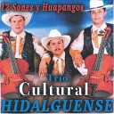 Trio Cultural Hidalgeunse - El San Lorenzo