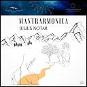 Julius Notar - Under The Skin