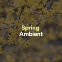 Ambient 11 - Spring Ambient Pt 4