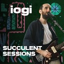 Succulent Sessions feat iogi - delicate creature Live