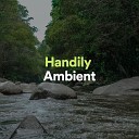 Zen - Handily Ambient Pt 20