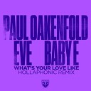 Paul Oakenfold, Eve, Hollaphonic feat. Baby E - What's Your Love Like (Hollaphonic Remix)