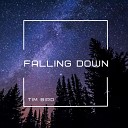 Tim Bird - Falling Down Radio Edit