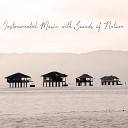 Nature Music Sanctuary Instrumental Gentle Instrumental Music… - Desert Island
