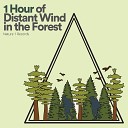 Sound of Nature Library - 1 Hour of Distant Wind in the Forest Pt 3