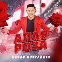 Анвар Нургалиев - Алая роза