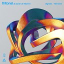 Tritonal Sarah De Warren - Signals Farius Remix
