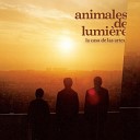 Animales de Lumiere - Como La Noche