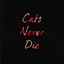 Cats Never Die - I Will Sleep at Night