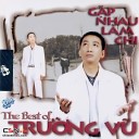 Truong Vu - Gap Nhau Lam Chi