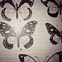 alex glass - Butterflies