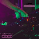 Subterranean Polar bear - Synapse (Neurotransmitter)