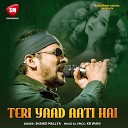 Shahid Mallya - Teri Yaad Aati Hai