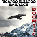 Ricardo Elgardo - Endless Flight Radio Edit