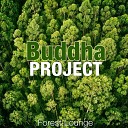 Buddha Project - Ice Melt