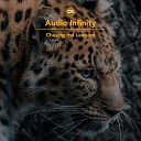 Audio Infinity - Chasing the Leopard