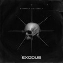 Synphic Coccinelle - Exodus