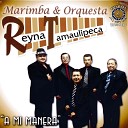 Marimba Orquesta Reyna Tamaulipeca - Blue Moon