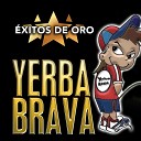 Yerba Brava - El Pum Pum
