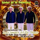 Los Caimanes del Rio Blanco - Idolos de La Huasteca