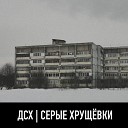 ДСХ - Без слов