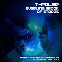 T-Polar - Bubbling Brook of Spooge (Tony Craig Takes no Spooge from Anyone Remix)