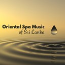 Garden of Zen Music - The Path to Well Being