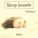 Sleep Station - Asleep and Dreaming Deep Sleep Music to Cure…