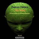 Damon Vallero - Re Plant