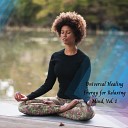 Melvin Meditation Archive - 155 Hz Peaceful Focused Meditation