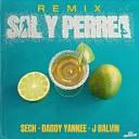 Sech Daddy Yankee J Balvin - Sal y Perrea Remix