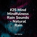 Academia de Medita o Buddha Relajaci n Rain Sounds Nature… - Soothing Small Ocean Waves
