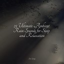 Lluvia PQ Water Sounds for Sleep SleepTherapy - Woodland Ambience Birds