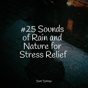 Healing Sounds for Deep Sleep and Relaxation Guided Meditation Music Zone Sleep Songs… - Lightly Sprinkling