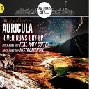 Auricula feat Katy Coffey - River Runs Dry Instrumental