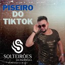 Solteiroes Da Pisadinha - Piseiro Do Tik Tok