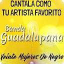 Banda Guadalupana - Mis Tres Animales