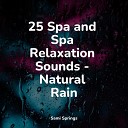 Serenity Spa Music Relaxation Nature Recordings Deep Sleep… - Late Night Rains