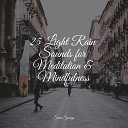 Restless Baby Music Calm Down Zen Music… - Stormy Streets