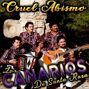 Los Canarios De Santa Rosa - Margarito Jimenez