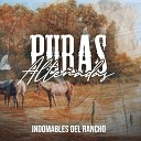 Indomables Del Rancho - Flor Hermosa